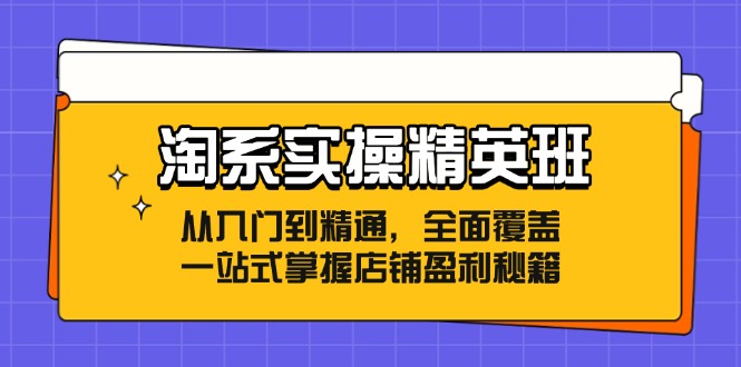 图片[1]-（12276期）淘系实操精英班：从入门到精通，全面覆盖，一站式掌握店铺盈利秘籍