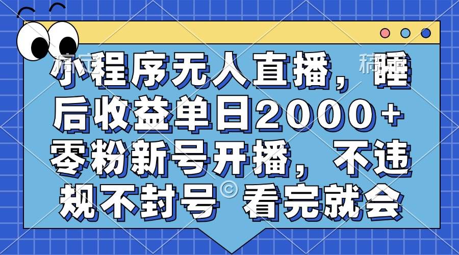 图片[1]-（13251期）小程序无人直播，睡后收益单日2000+ 零粉新号开播，不违规不封号 看完就会