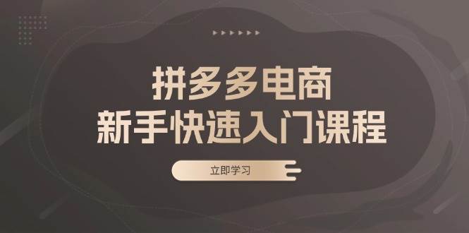 图片[1]-（13289期）拼多多电商新手快速入门课程：涵盖基础、实战与选款，助力小白轻松上手