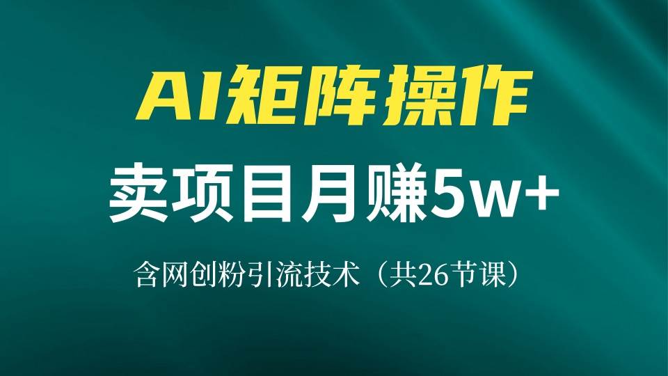 图片[1]-（13335期）网创IP打造课，借助AI卖项目月赚5万+，含引流技术（共26节课）