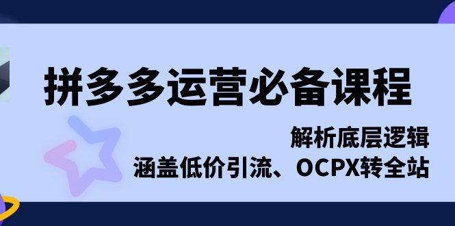 图片[1]-（13700期）拼多多运营必备课程，解析底层逻辑，涵盖低价引流、OCPX转全站